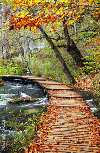 Plitvice National Park, Croatia, Europe - Autumn colors photo