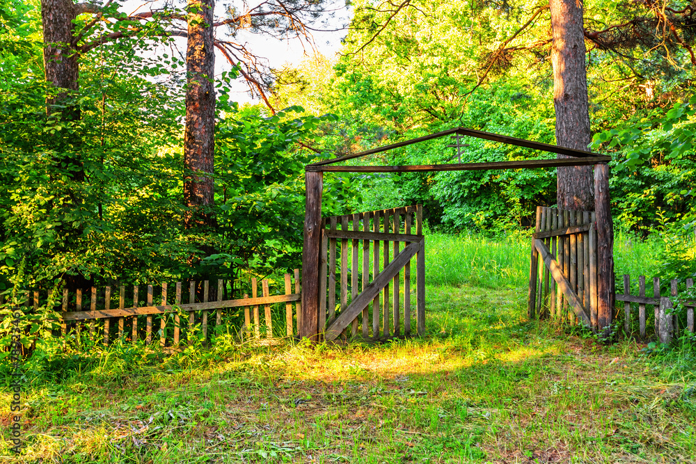 Old wooden gate in forest Old wooden gate in forest