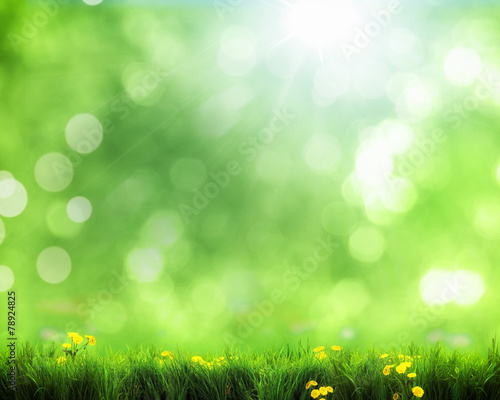 grass and bokeh lights