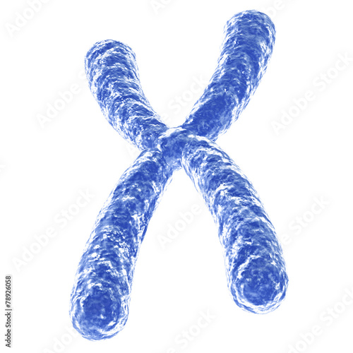 Photography Chromosome