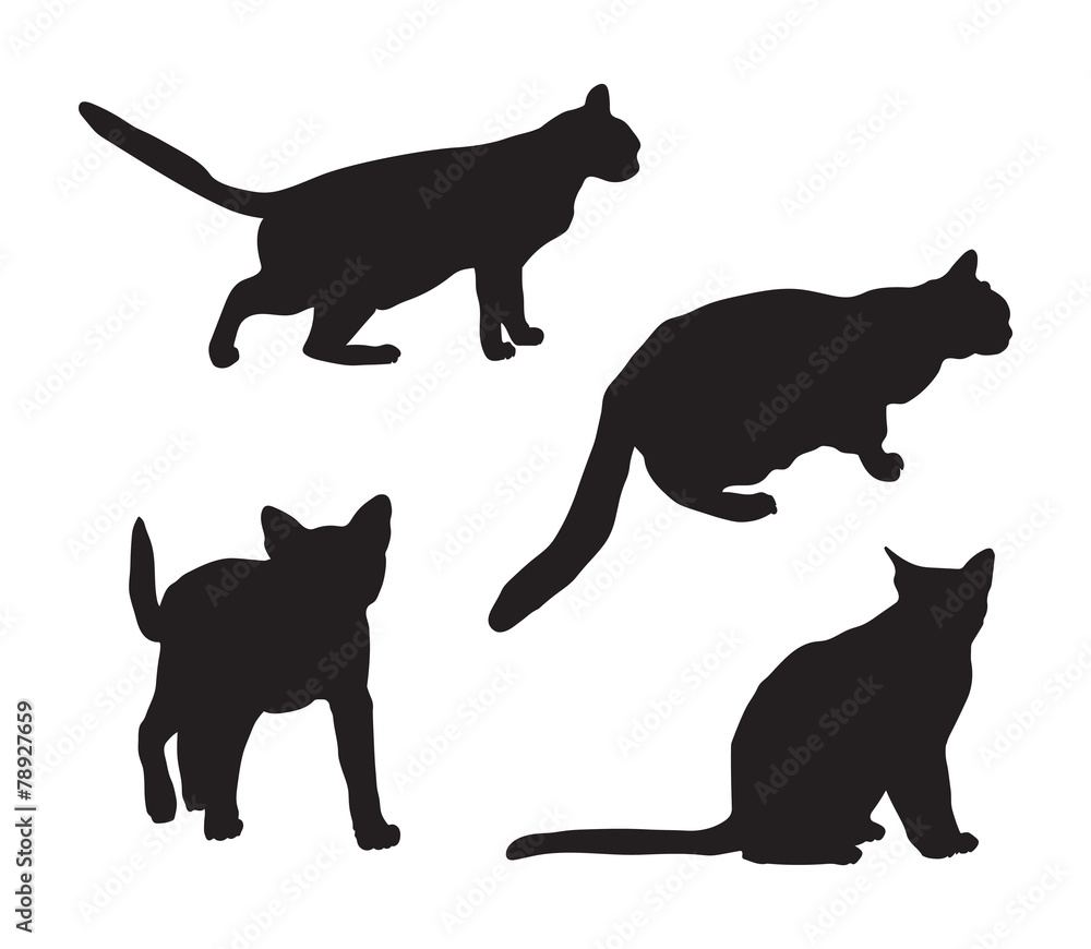 black silhouettes of cats
