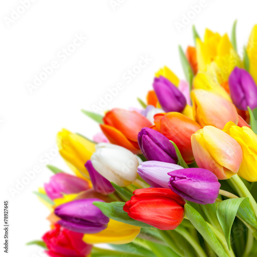 Bunter Blumenstrauß mit Tulpen vor weißem Hintergrund