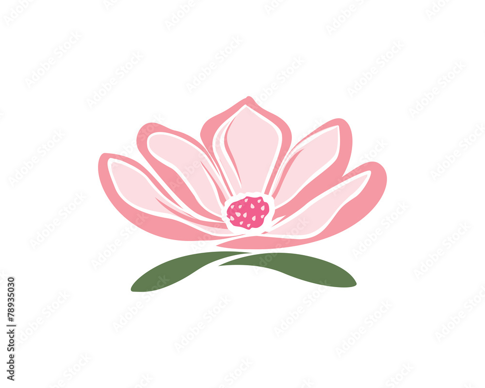 Naklejka premium Magnolia