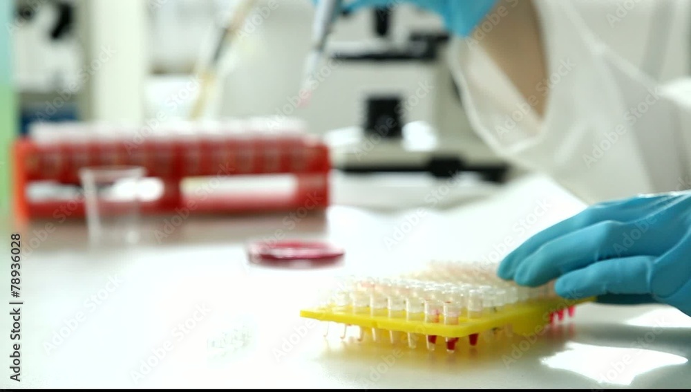 Woman technician in the genetics laboratory Woman technician in the genetics laboratory