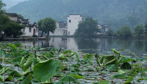 중국의 전원풍경