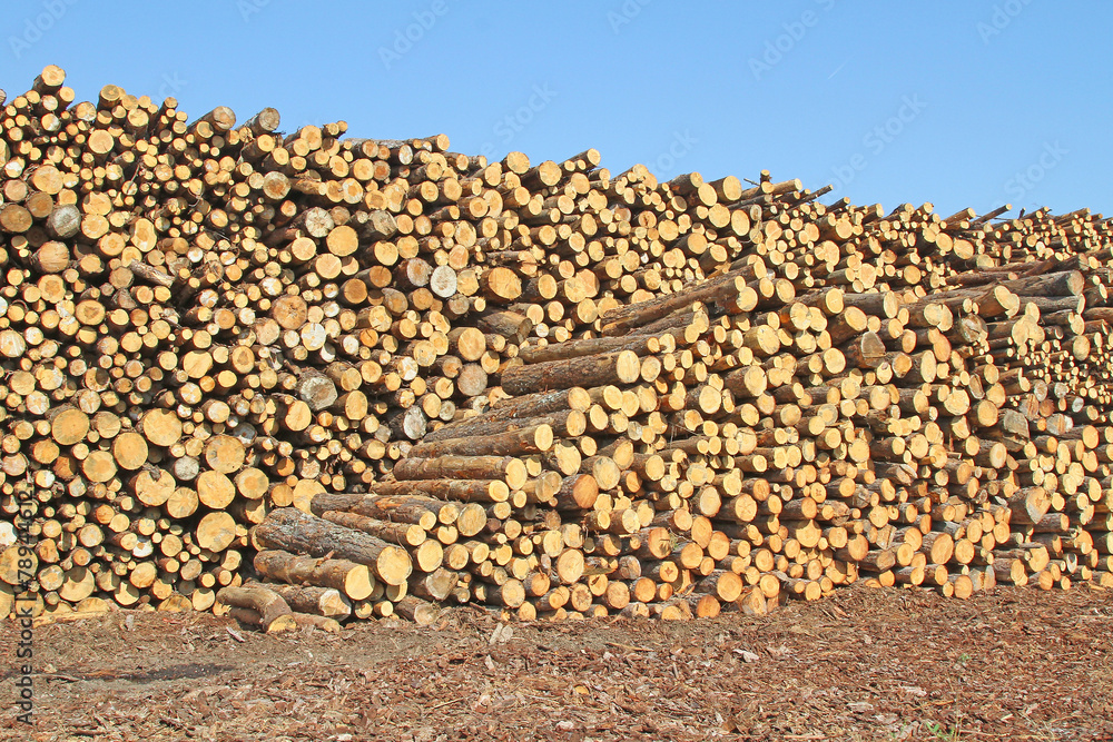 Stockage du bois
