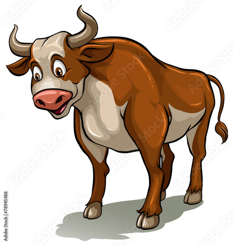A bull