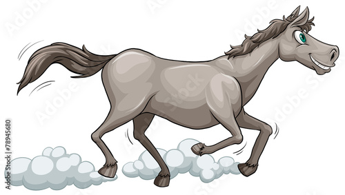 Grey horse running