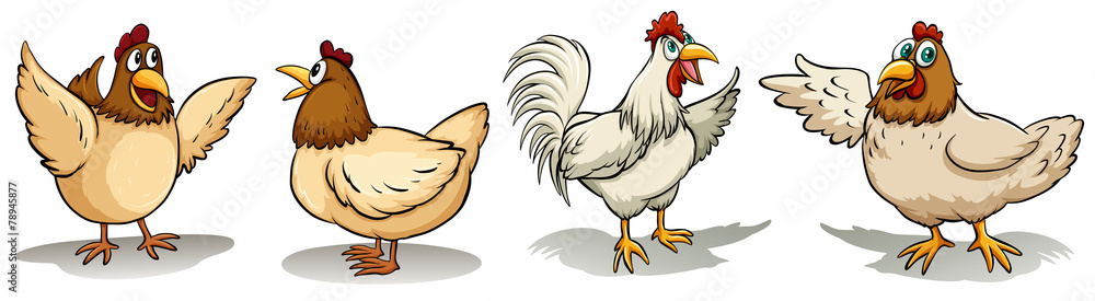Naklejka premium Hens and rooster