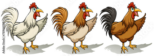 Group of roosters