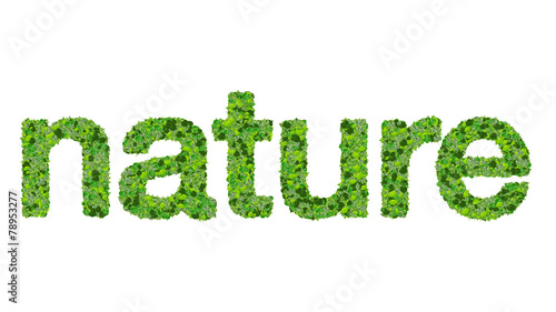 Word nature made from green leaves on gradient background.