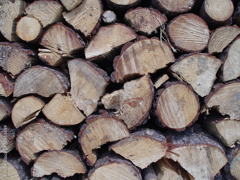 장작 배경이미지