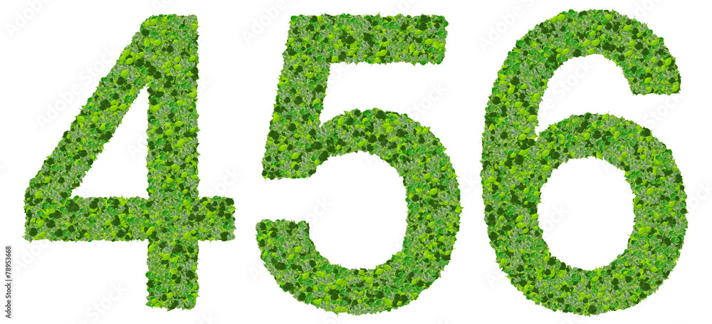4 5 6 number made from green leaves isolated on background. 4 5 6 number made from green leaves isolated on background.