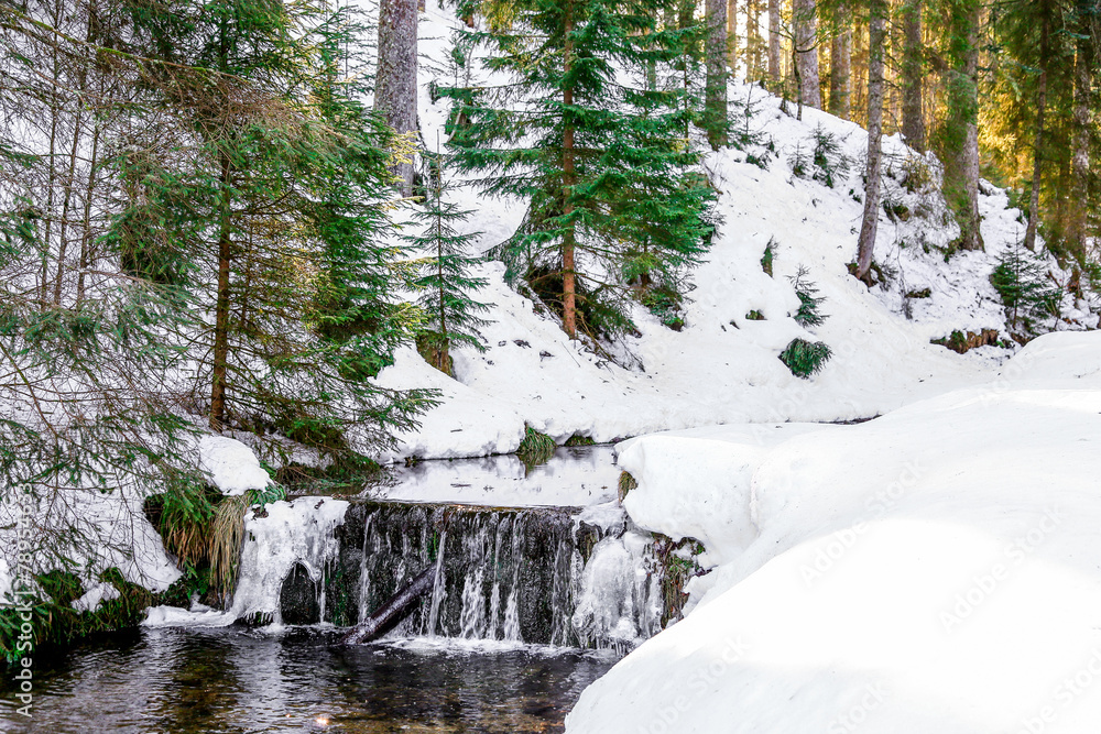 Fototapeta premium small waterfall in vosges mountain