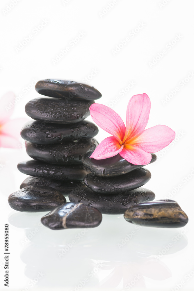 Fototapeta premium Plumeria flowers and black stones close-up