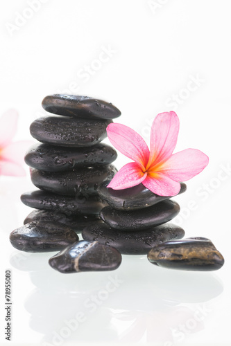 Plumeria flowers and black stones close-up