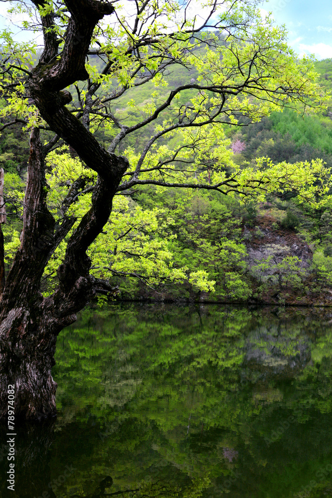 Fototapeta premium 풍경이미지