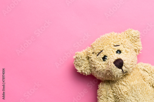 Cuadro en lienzo teddy bear on pink background