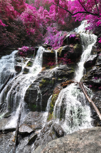 Waterfall with edited foliage hues to look like flowering trees