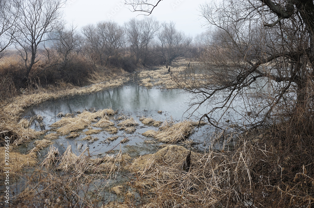 Obraz premium 풍경이미지