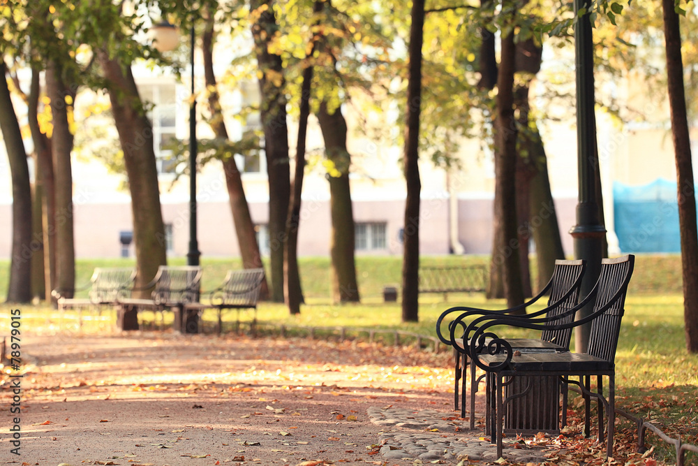 garden bench in autumn park landscape