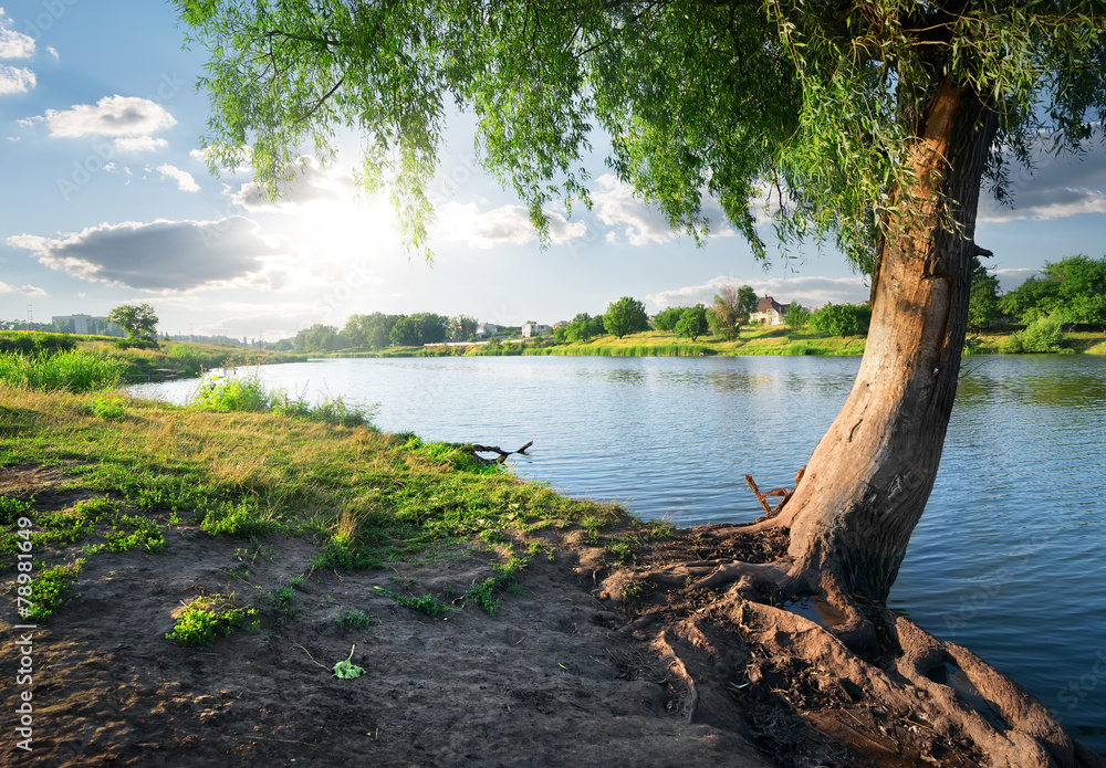 View on river