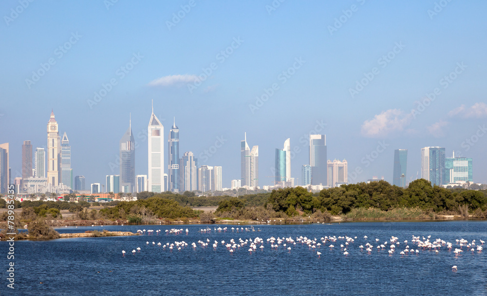 Fototapeta premium Dubai skyline with falmingos in foreground, UAE