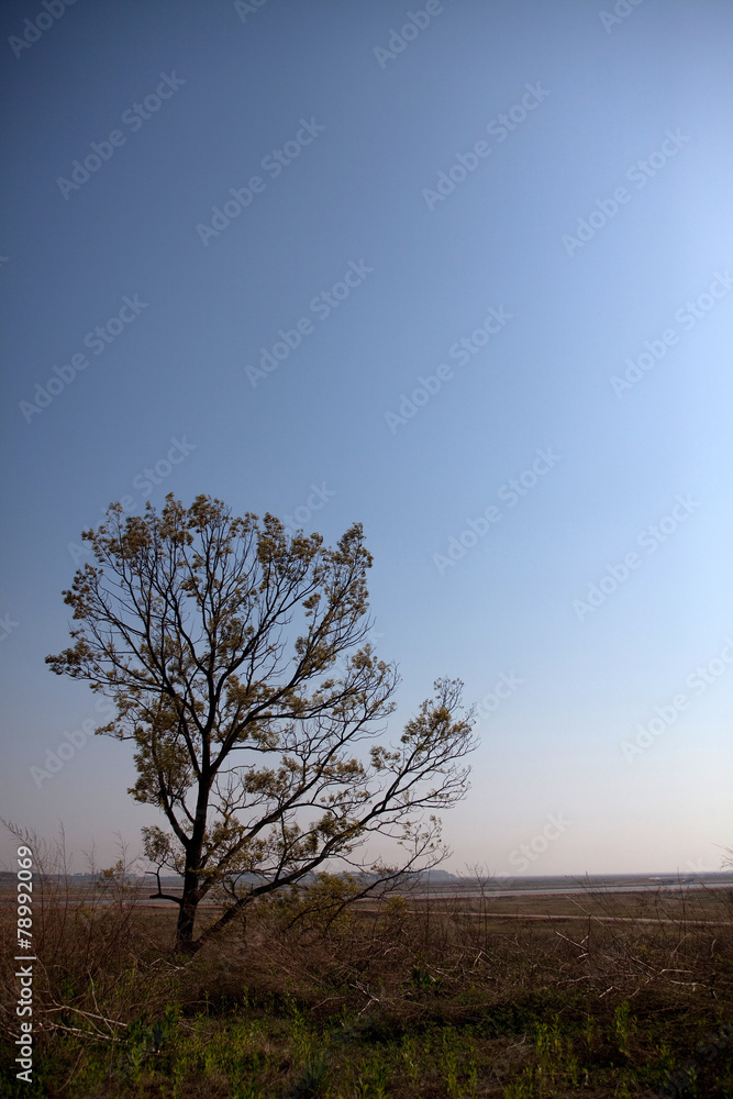 Fototapeta premium 풍경이미지