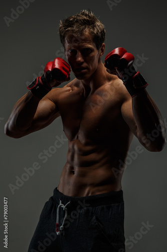 Boxer posing in studio. © Fxquadro