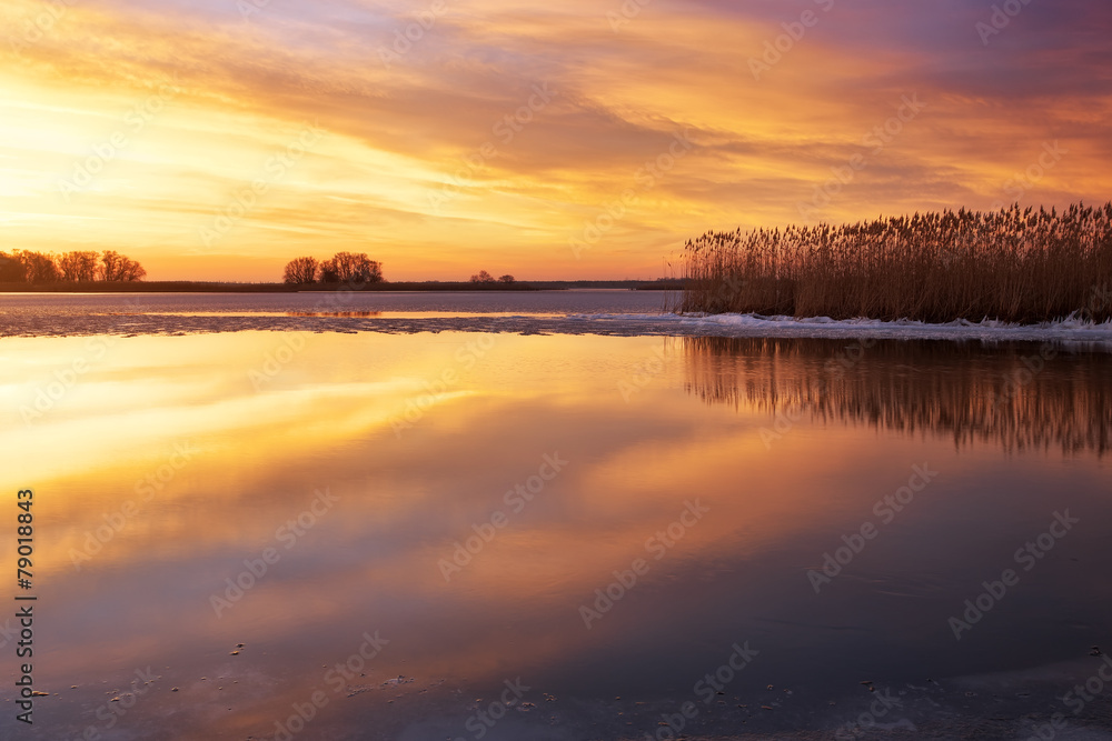 Fototapeta premium Winter landscape with river, reeds and sunset sky.