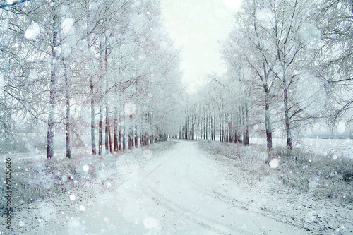 Snowy winter road in a field