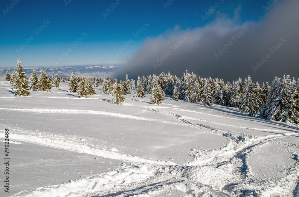 Fototapeta premium Transylvania winter , Harghita mountains