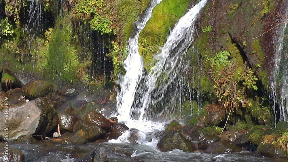Close up water stream Close up water stream