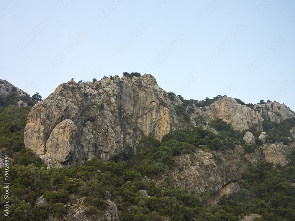 Rocky cliff, mountain trees and blue sky Rocky cliff, mountain trees and blue sky