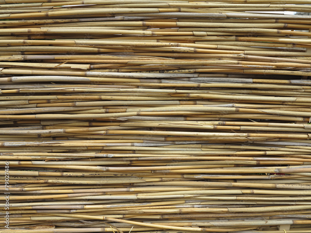 Abstract texture of yellow bamboo background Abstract texture of yellow bamboo background