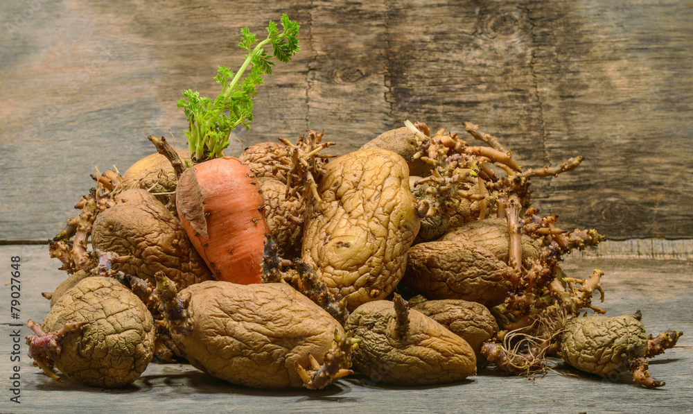 wrinkled potatoes and sprouted carrot