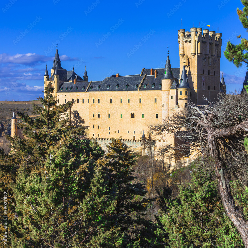 beautiful Alcazar castle in Segovia, Spain