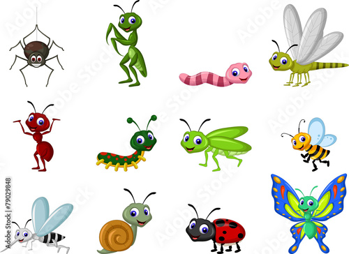 Print op canvas insect cartoon collection