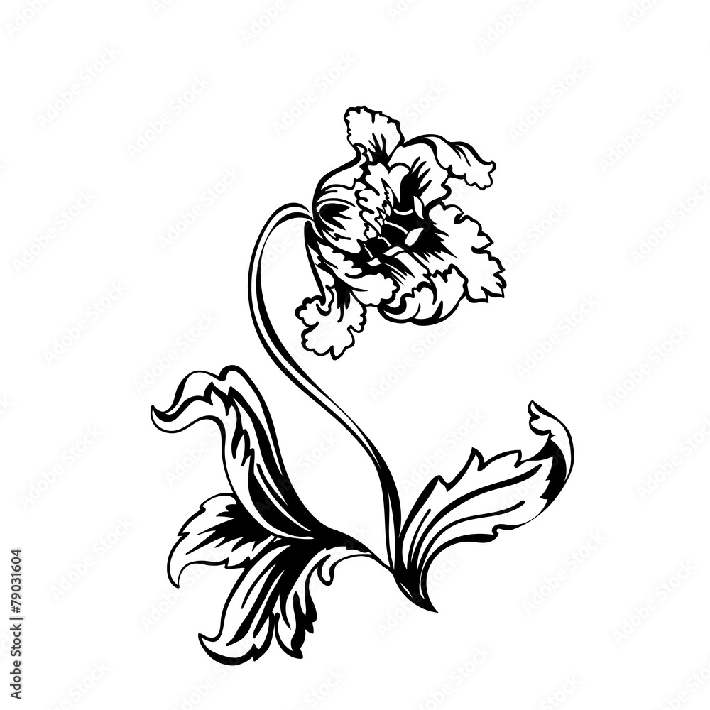 Flower tulip Flower tulip