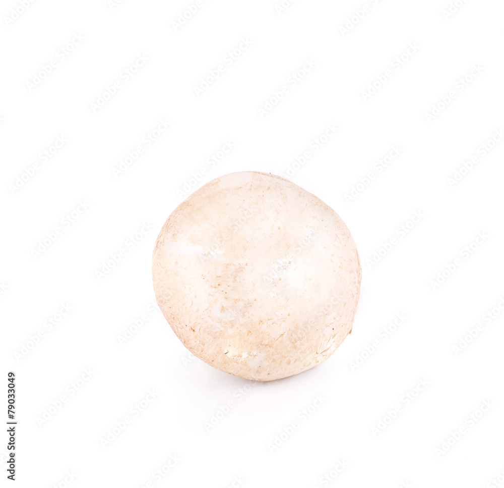 Fototapeta premium Champignon mushroom