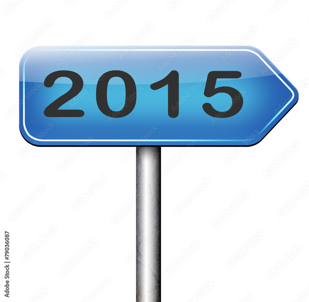 2015 new year