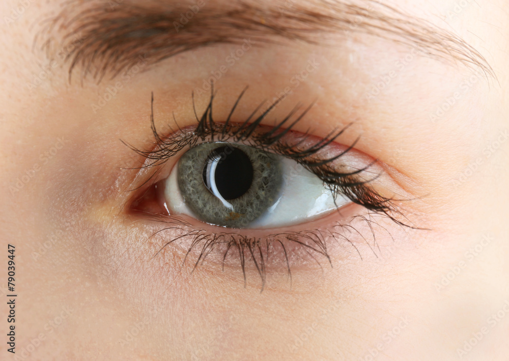 Fototapeta premium Human eye close-up