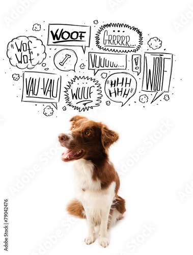 Fototapeta Naklejka Na Ścianę i Meble -  Cute dog with barking bubbles