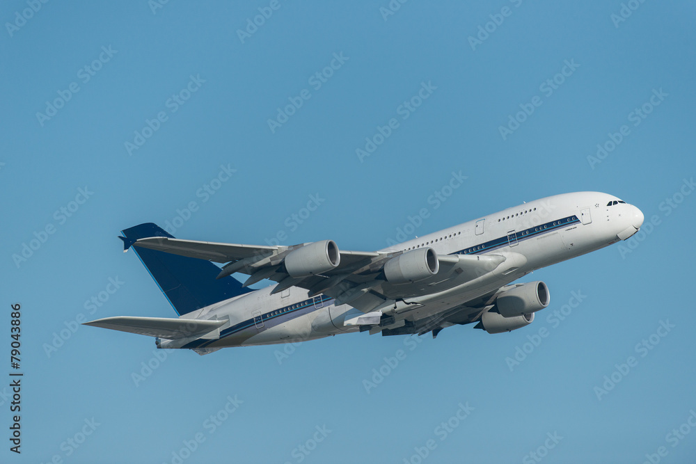 Fototapeta premium Passenger Airliner in the blue sky