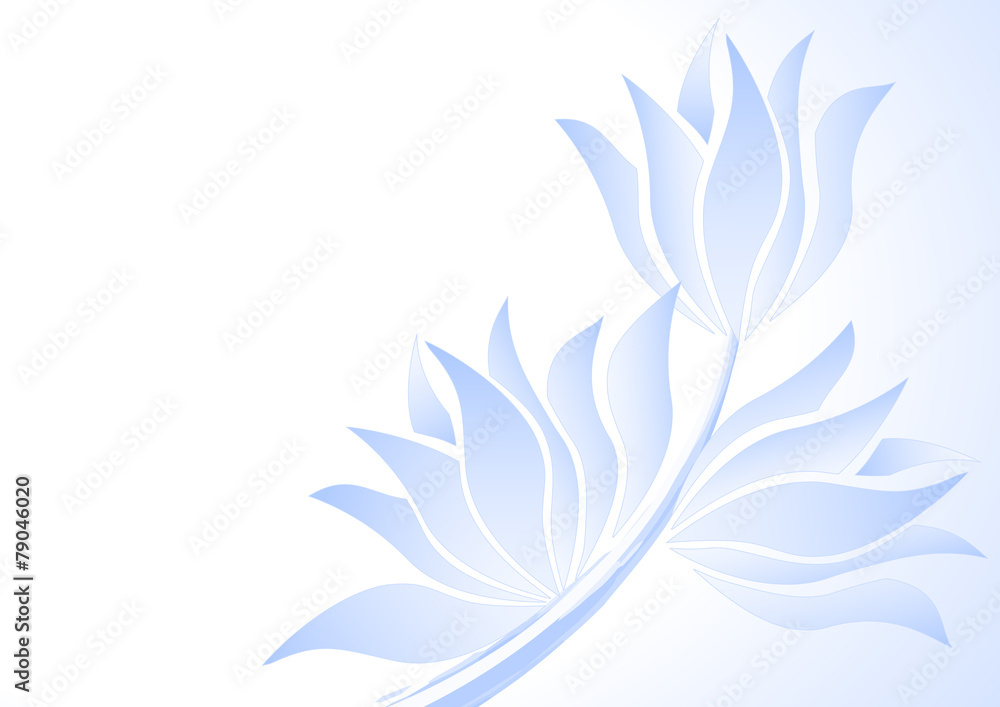 fleur de lotus fleur de lotus