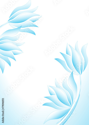 fond lotus