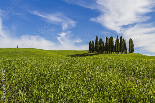 The Tuscan hills