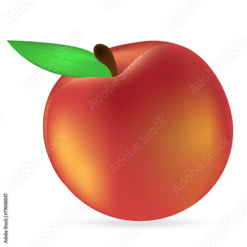 peach on a white background
