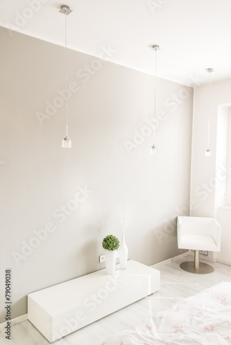 Obraz na płótnie white luxury room with chair w salonie