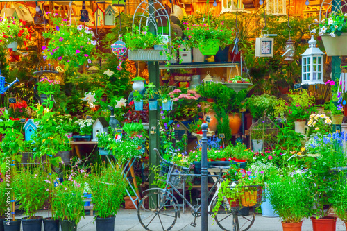 Photography Flower shop